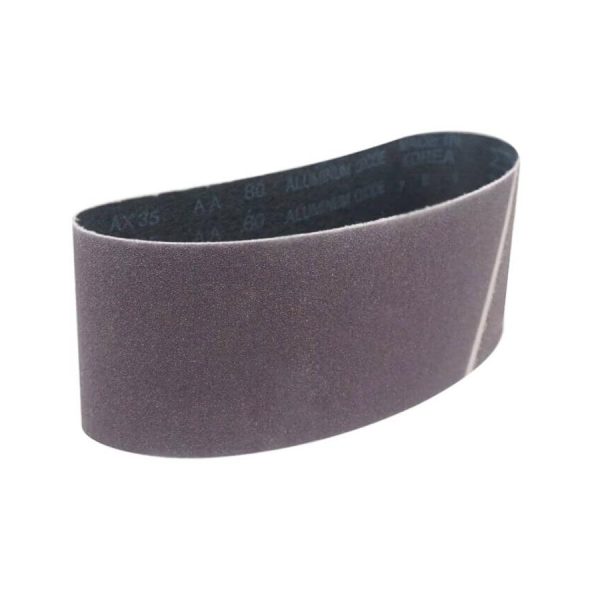 Nhám xe tăng bò cạp cứng