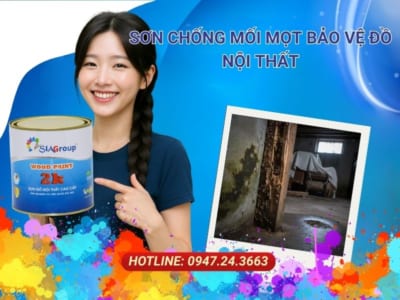 sơn chống mối mọt cho gỗ, thuốc chống mối mọt cho gỗ