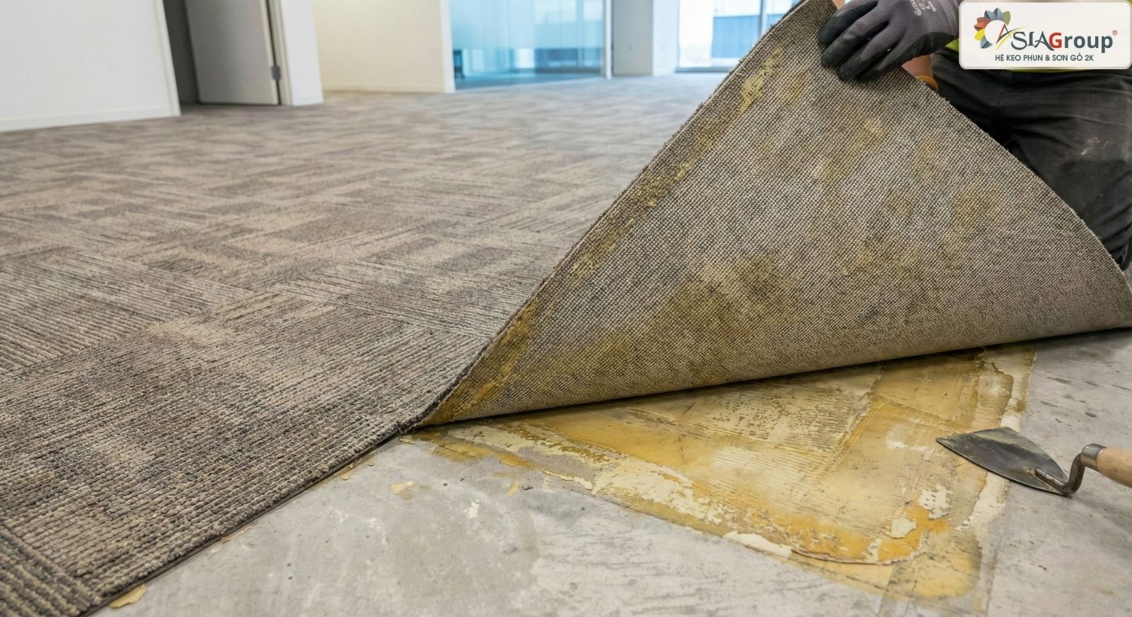 Keo Dán Thảm Sàn: Hướng Dẫn Lựa Chọn, Thi Công & Xử Lý Sự Cố 1 keo dán thảm sàn, keo dán thảm trải sàn